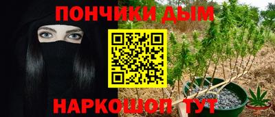 СК Новодвинск