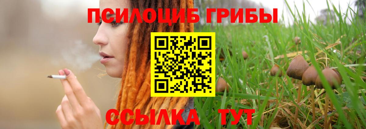 Галлюциногенные грибы Cubensis  Вход с VPN  Старая Купавна  Псилоцибиновые грибы MAGIC MUSHROOMS 